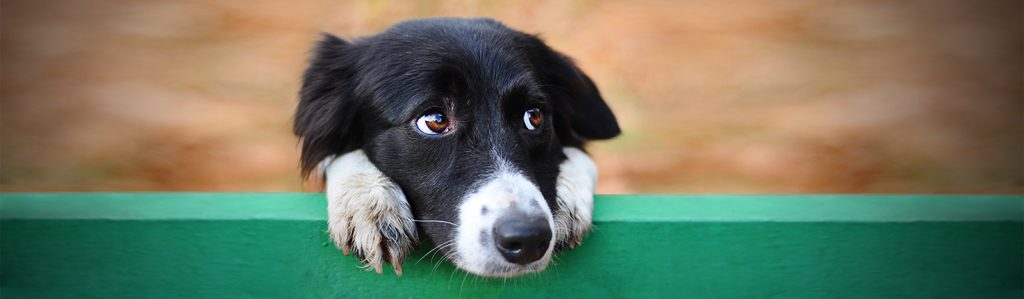 Best Practices for Brand Reactivation Emails